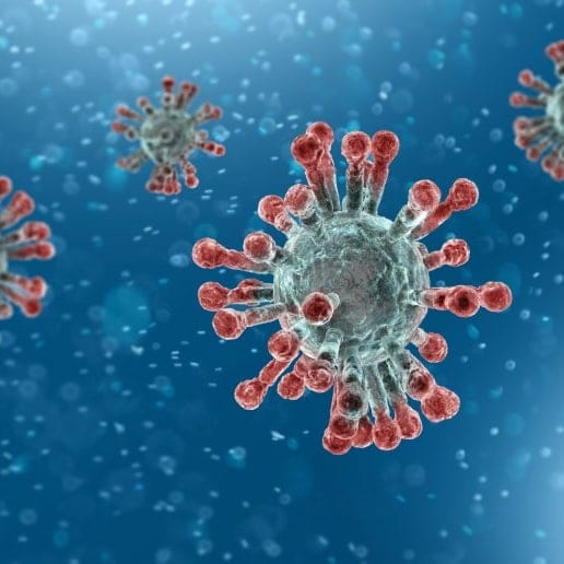 26.11.2021: NEUE CORONA - VERORDNUNG - COVID-19 26.11.2021: NEUE CORONA - VERORDNUNG - Virusabbildung